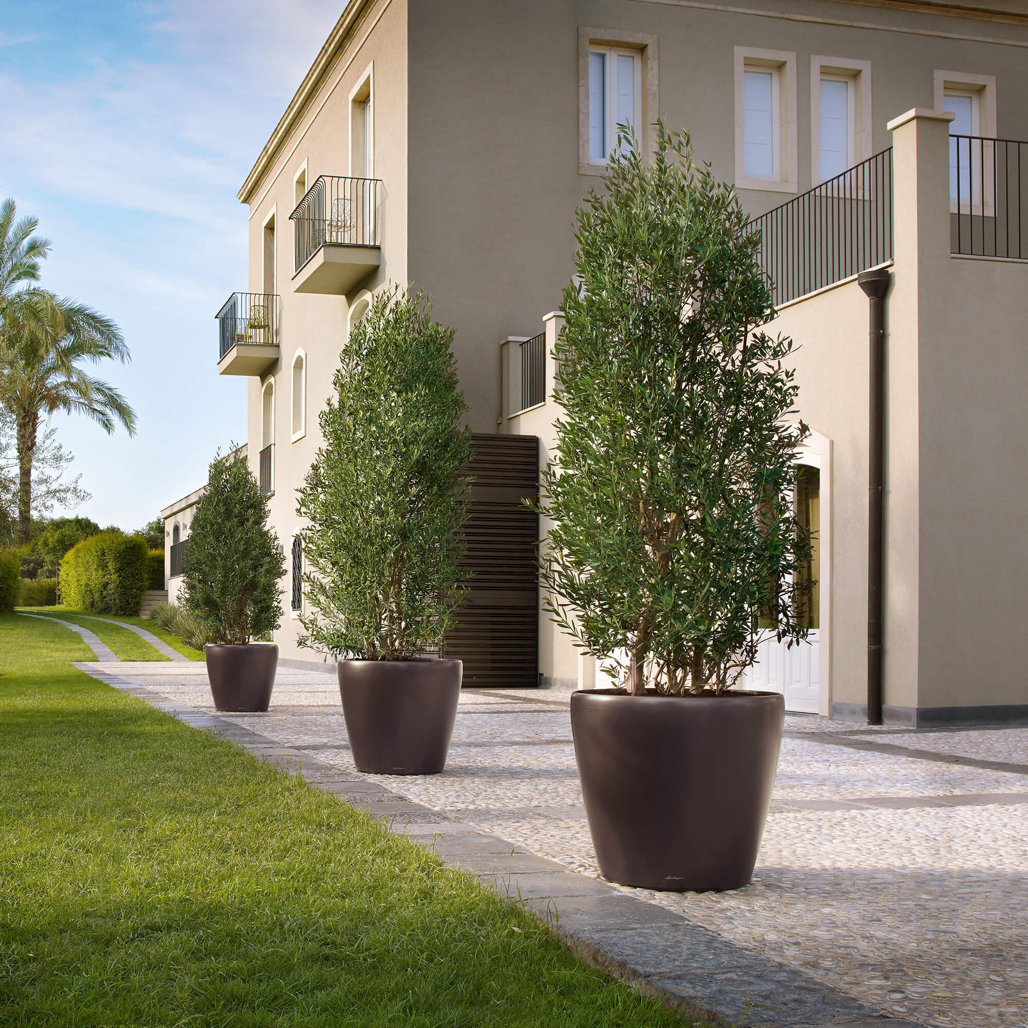 le_classico70_product_addi_02